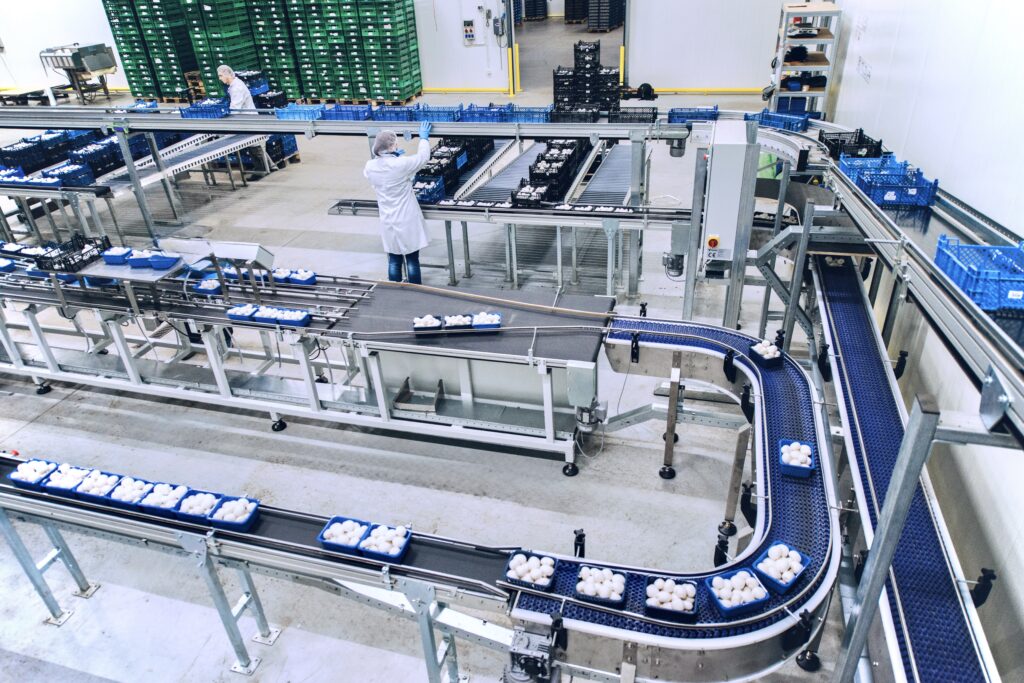 viscon mushrooms pieczarki automatyzacja automation polok