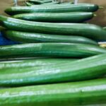 Ogórek Fresh Produce Viscon Oroshaza