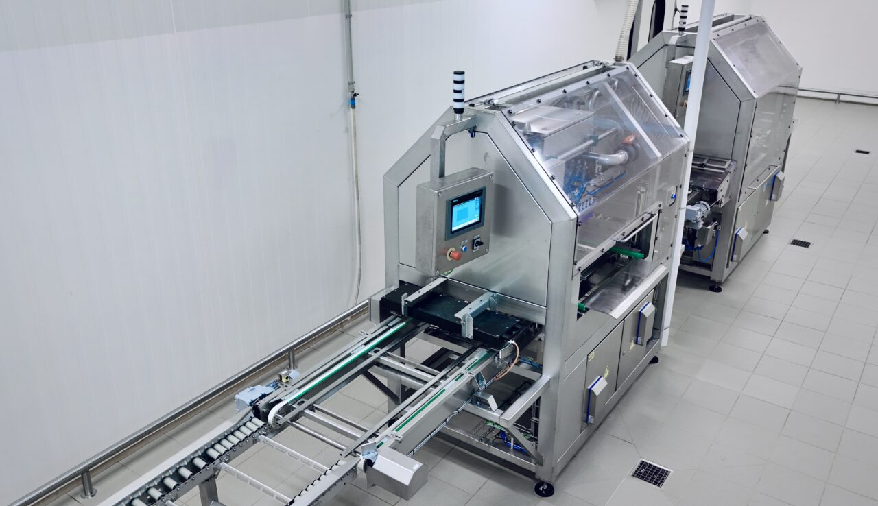 Zdrowy kurczak Viscon detekcja żywych zarodków