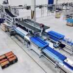 Pakowanie pomidorów tomato Viscon Eastern Europe greenpack polyweighr